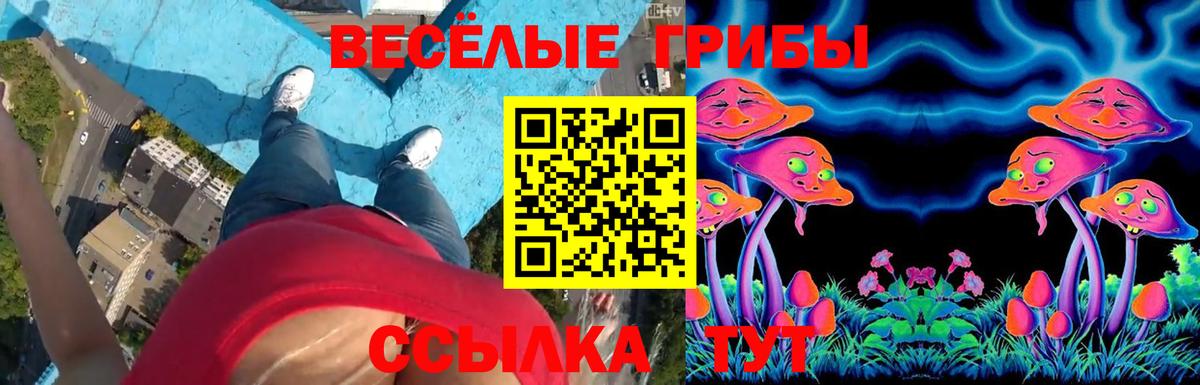Зерноград  Псилоцибиновые грибы MAGIC MUSHROOMS  Вход с VPN  Псилоцибиновые грибы прущие грибы 