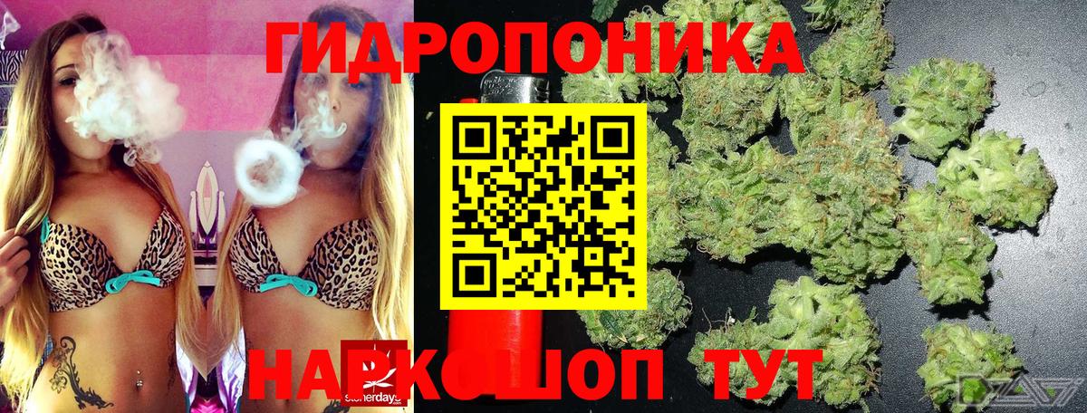 Бошки Шишки конопля  Вход с VPN  Шишки марихуана MAZAR  МАРИХУАНА план  Зерноград 
